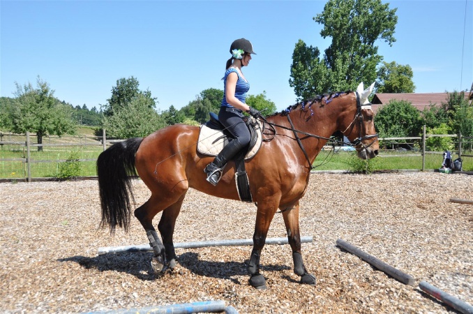 DSC_0403 - HOMEPAGE.JPG